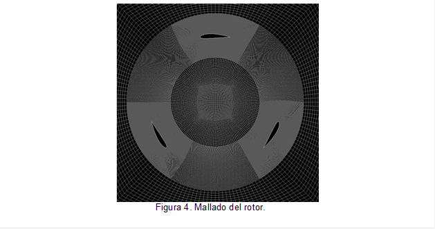  
Figura 4. Mallado del rotor.

